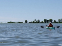 62832RoCrLeUsm - Kayak outing at McLaughlin Bay at Darlington Provincial Park.jpg